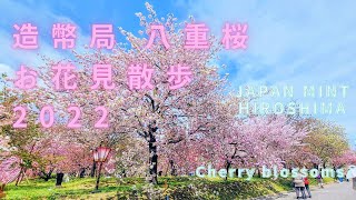 【広島桜Vlog】広島造幣局「花のまわりみち」お花見散歩2022～Cherry blossoms at Mint Hiroshima bloomed