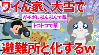 【2ch動物スレ】ワイの家の縁側、大雪で猫の避難所と化してしまうww【かわいいなぁ・・・】