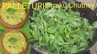 Sirraku Chutney Recipe in Telugu||Sirraku Pachadi||పల్లెటూరి స్టైల్ సిర్రాకు చట్నీ