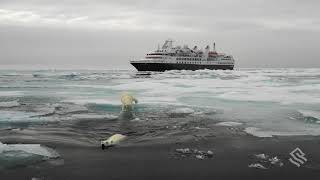 Polar Bears in the East Siberian Sea