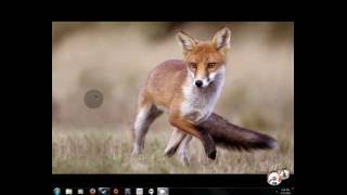 Basic How to Adblock Noscript in Firefox