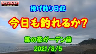 今日も釣れるかな？渥美半島堀切海岸でキスの投げ釣りです