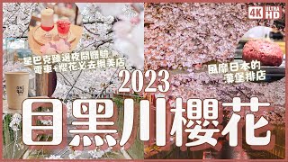 2023目黑川櫻花🌸滿開啦！帶你逛中目黑賞櫻(有夜櫻)！同場加映夜間星巴克臻選 窗外有電車+櫻花的網美咖啡店 東京人氣漢堡排店｜東京賞櫻 4K VLOG