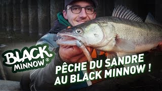 fiiish - Pêche du Sandre en verticale au Black Minnow