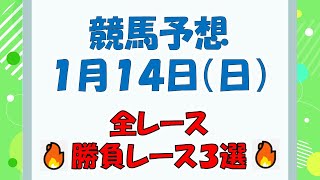 【競馬予想】１月１４日（日）全レース予想／厳選３レース(平場予想・重賞予想)