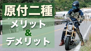 原付二種バイクでツーリングを楽しむメリットとデメリット [小型二輪のある暮らし]