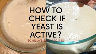 How To Check If Yeast Is Active? | Good Yeast and Bad Yeast | Schilla's Easy Recipes