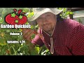 Garden Quickies Volume 2 - Episodes 11 to 20