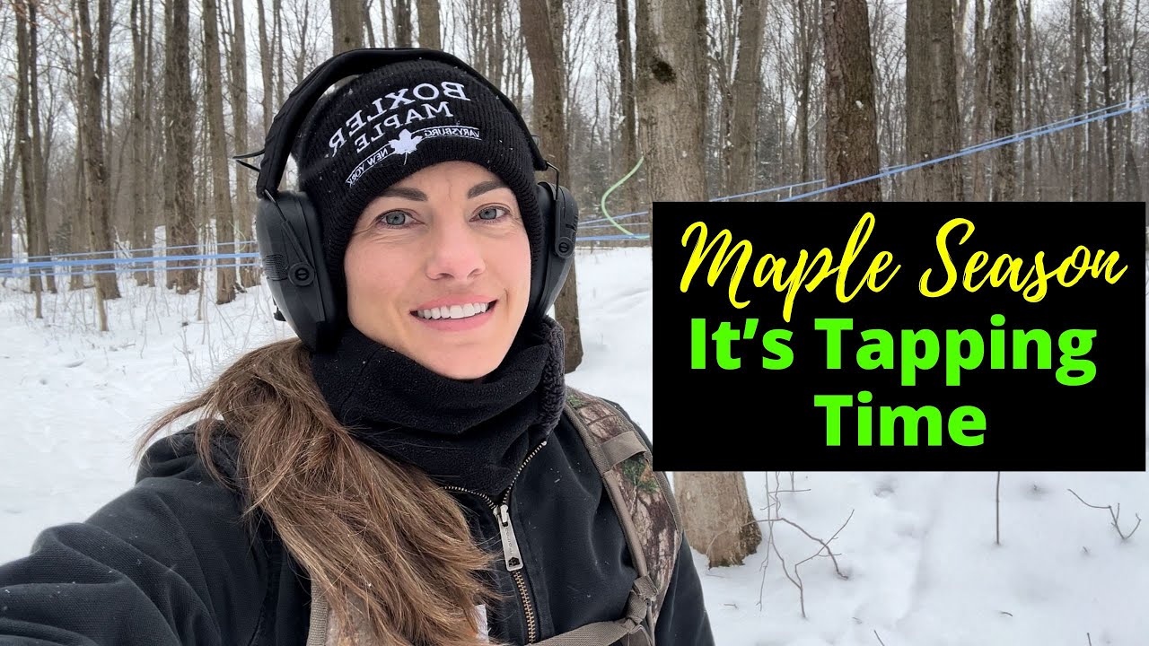 A Day In The Life Of A Farmer It S Tapping Time For Maple Syrup Season