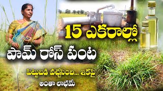 పామ్ రోస్ సాగు | ఆయిల్ తయారీ | లీటరు రూ. 2,200 | Palmrose cultivation, oil making | Yedukondalu