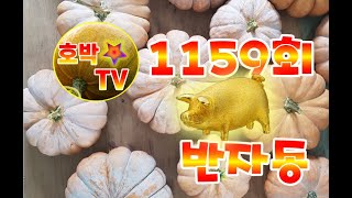 1159회 금요일 반자동 4장 [ 정초에 대박나세요; 호박TV 대박나세요 ] #호박TV  #반자동#대박 #대박기원 #1등당첨기원 #1등당첨 #동행복권