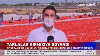 Kavurucu sıcakta zorlu mesai