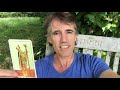 page of wands tarot card meaning