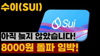 [수이SUI] 아직 늦지 않았습니다 8000원 돌파하면 대폭등 나옵니다