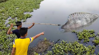 😍Best Amazing Fishing Video | Traditional Boys Fishing Tilapia with Teta In The Village Pond Water 😱