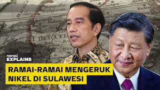 Di Balik Suburnya Nikel di Sulawesi: Jokowi, China, dan Kendaraan Listrik | Narasi Explains