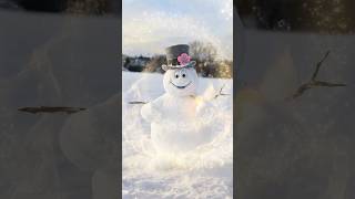 When you build Frosty The Snowman wrong