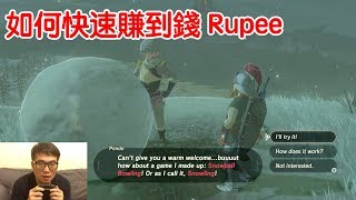 【薩爾達傳說 荒野之息】小秘技：如何快速賺到錢 (rupee)