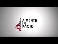 MSF's Month in Focus: November 2015