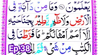 Ep26 Learn Quran Surah Al An'am Word by Word with Tajweed || How To Improve Quran