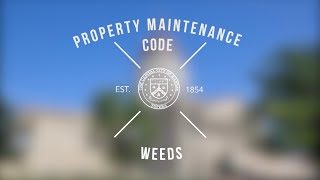 Code Enforcement: Weeds