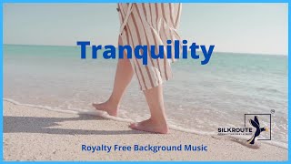 🔴[Copyright Free] Soothing, Relax your mind, stress relief music, Gym by Silkroute Background Music