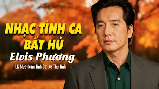 Mười Năm Tình Cũ, Xé Thư Tình - Elvis Phương | Tình Khúc Bất Hủ Vạn Người Mê
