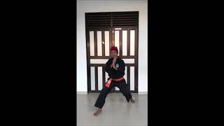 12 SIKAP PASANG PENCAK SILAT (IPSI)