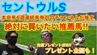 【予想】セントウルステークス2020　絶対に買いたい推薦馬！チャンネル回収率１００％を超している我々の本命馬はこの馬！【競馬予想】【競馬】【セントウルＳ】【プレゼント】