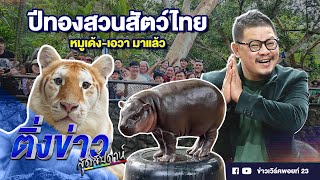 ปีทองสวนสัตว์ไทย หมูเด้ง เอวา มาแล้ว | ติ่งข่าวสุดสัปดาห์ | 24 พ.ย. 67