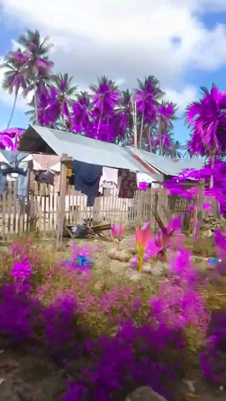 19 Juli 2024 Youtube