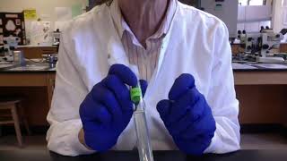 lab Ch 10 Microbial media introduction 3 13 2020