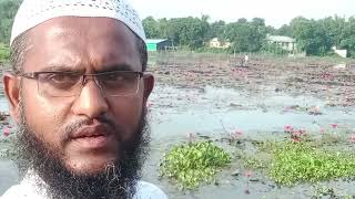 নতুন ইাসলামী সংগীত আসছে আগামী সপ্তাহের মধ্যে ইনশাআল্লাহ