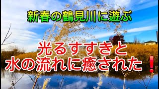 『新春の鶴見川に遊ぶ』～光るすすきと水の流れに癒された！～フーテンのカズさんVol.65