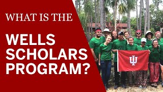 What is the Wells Scholars Program?