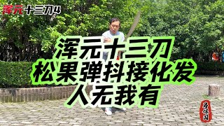 渾元十三刀刀理演示｜松果彈抖接化發人無我有