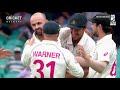 Every wicket Watch all 27 of Lyon's wickets for the summer