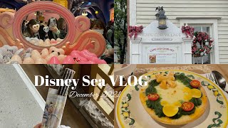 vlog｜クリスマスディズニー🎄雨＋極寒のパーク内の過ごし方⌇ Disney Sea🧣🥨 ⌇スイーツ ⌇カフェ