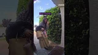 Homeowner Catches Escaped Bird!