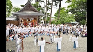 ６年に一度の「高浜七年祭」