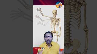 ராட்சச எலும்பு கூடுகள் அழிக்கப்படுகிறதா!? | ##shorts #shortsvideo #skeleton #mysterytamil