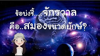 ข้อบ่งชี้ จักรวาล คือ สมอง ขนาดยักษ์ ? | Zogzag Story