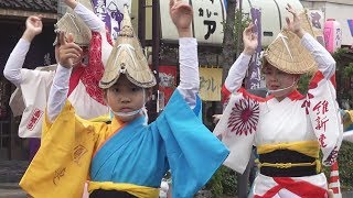 阿波踊り「南越谷合同連②」2018堀切かつしか菖蒲まつり（2018.6.10）