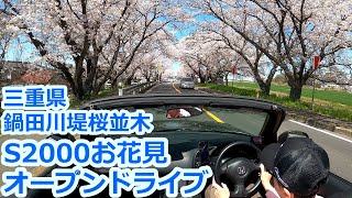 【S2000】鍋田川提桜並木 満開 オープンドライブ