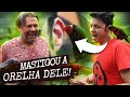 ENALDINHO FOI ATACADO PELAS AVES! | A CASA DOS BICHOS