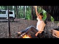 pouring rain ☔…wet and freezing solo camping | fried chicken