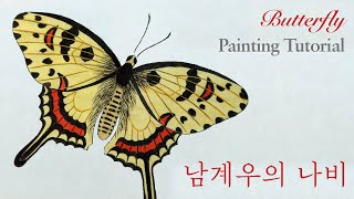 남계우 나비그리기 04 민화 채색화 | Korean painting | How to Draw Butterfly Step By Step