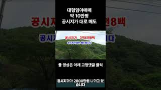 [대형임야] 약 10만평의 대형임야 매매 합니다 공시지가3억6천8백만원 공시지가대로 매매 #shorts