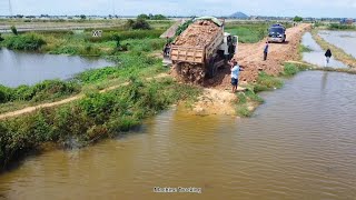 Processing rebuild old road 27M on flooded by Expert driver dozer Push soil in the water \u0026 5T truck