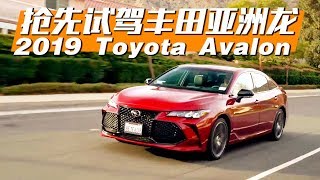 求生欲很强！2019海外试驾全新丰田亚洲龙Toyota Avalon